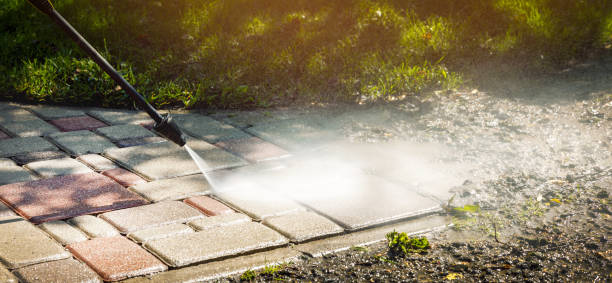 Best House Exterior Washing  in Davis Junction, IL