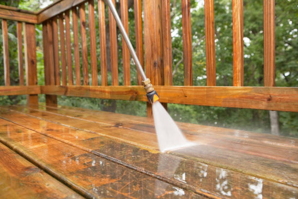 Best Driveway Pressure Washing  in Davis Junction, IL